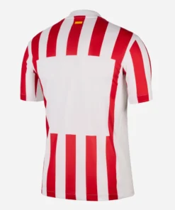 Nike Atletico Madrid Home Kit 25/26, back view, red-and-white stripes, short sleeves, no name or number.