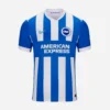 Brighton Home Kit 25/26 by Nike, front view, blue and white stripes, V-neck, short sleeves.