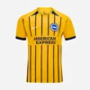 Nike Brighton Third Kit 25/26, front view, yellow with navy stripes, crewneck, short sleeves.